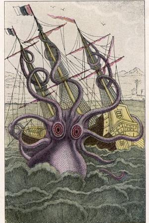 Photographic Print, , small