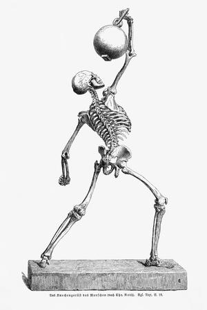 Photographic Print, , small