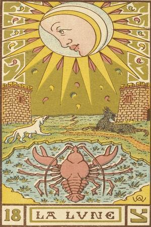 Photographic Print, , small