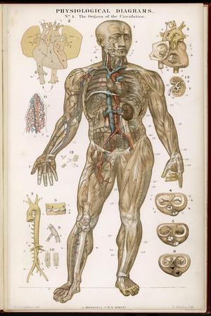 Photographic Print, , small