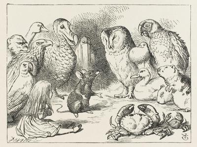 Photographic Print, , small