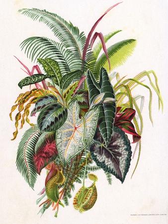 Photographic Print, , small