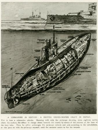 Photographic Print, , small