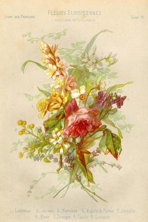Photographic Print, , small