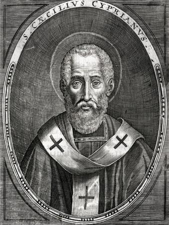 Photographic Print, , small