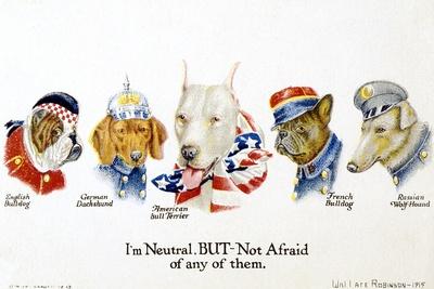 Photographic Print, , small