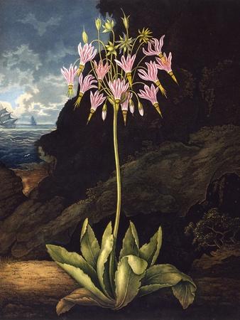 Photographic Print, , small