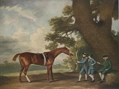 Photographic Print, , small