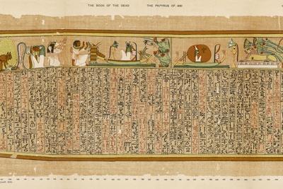 Photographic Print, , small