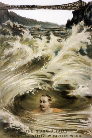 Photographic Print, , small