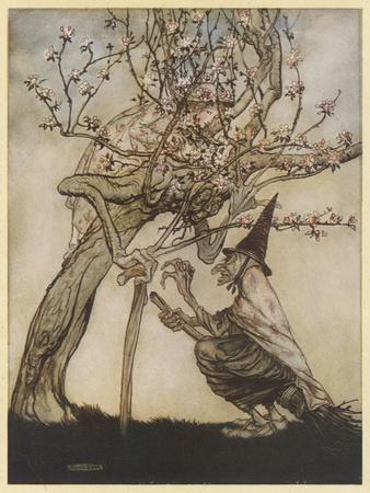 Photographic Print, , small