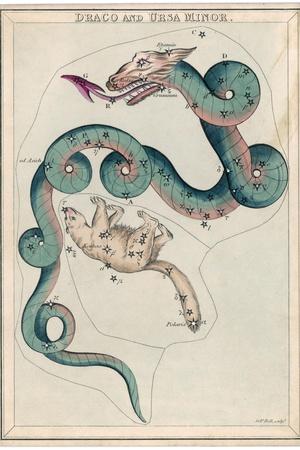 Photographic Print, , small