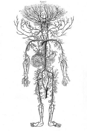 Photographic Print, , small