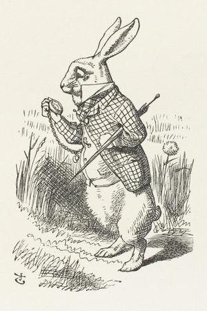 Photographic Print, , small