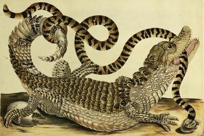 Giclee Print, , small