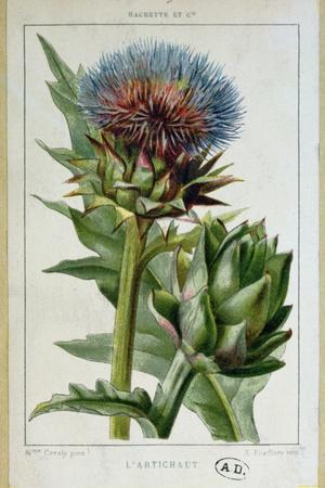 Giclee Print, , small
