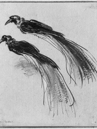 Giclee Print, , small