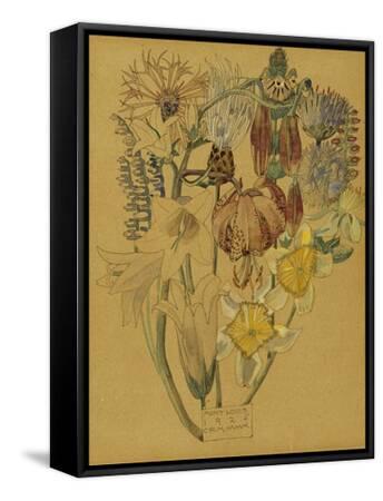 Stretched Canvas Print, , small