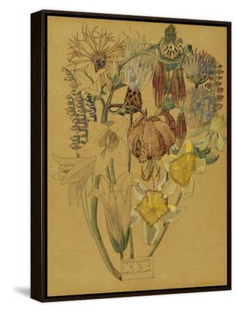 Stretched Canvas Print, , small