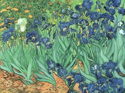 Giclee Print, , small