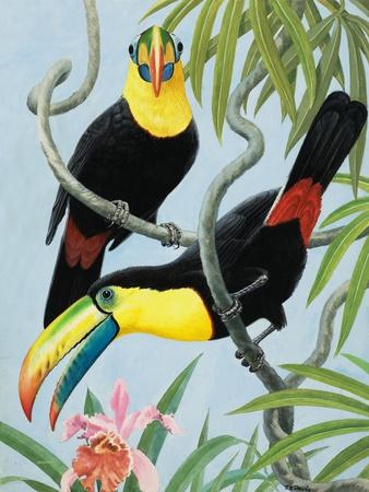 Giclee Print, , small