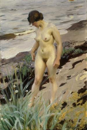 Giclee Print, , small