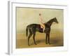 Voltigeur, with Job Marson Up-Samuel Spode-Framed Giclee Print