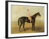 Voltigeur, with Job Marson Up-Samuel Spode-Framed Giclee Print