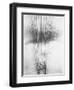 Telephone Wires, Mexico, 1925-Tina Modotti-Framed Giclee Print