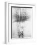 Telephone Wires, Mexico, 1925-Tina Modotti-Framed Giclee Print