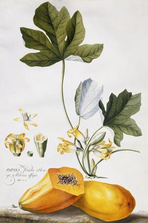 Giclee Print, , small