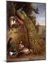 Peacock and a Peahen on a Plinth, with Ducks and Other Birds in a Park-Melchior de Hondecoeter-Mounted Giclee Print