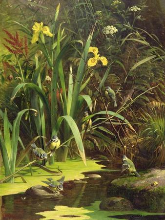 Giclee Print, , small