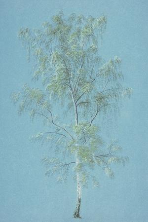 Giclee Print, , small