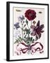 Various European Insects and Flowers-Maria Sibylla Graff Merian-Framed Giclee Print