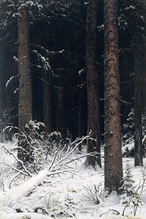 Giclee Print, , small