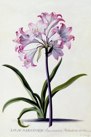 Giclee Print, , small