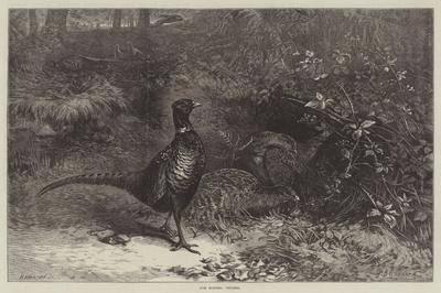 Giclee Print, , small