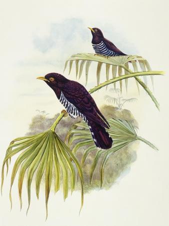 Giclee Print, , small