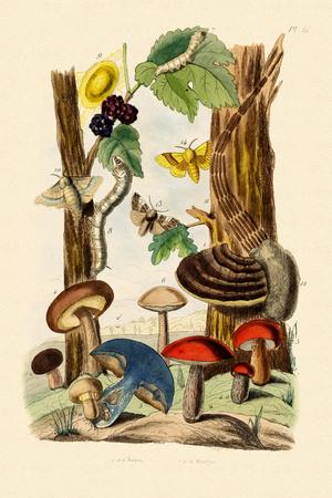 Giclee Print, , small