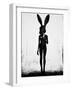 Lepus-Ruben Ireland-Framed Art Print