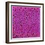 Untitled, June 1, 1984-Keith Haring-Framed Giclee Print