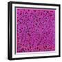 Untitled, June 1, 1984-Keith Haring-Framed Giclee Print