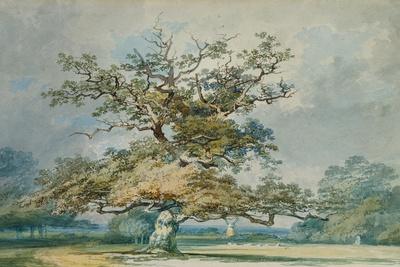 Giclee Print, , small