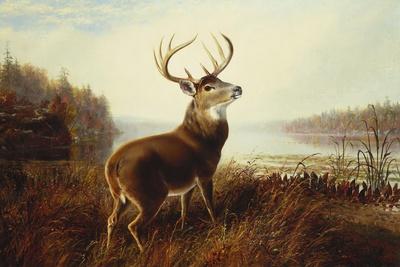 Giclee Print, , small