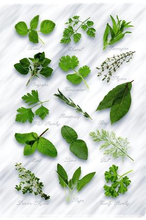 Photographic Print, , small