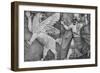 Battle Between Marduk and Zu-Science Source-Framed Giclee Print