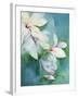 Magnolia Dedudata-Karen Armitage-Framed Giclee Print