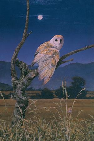 Giclee Print, , small