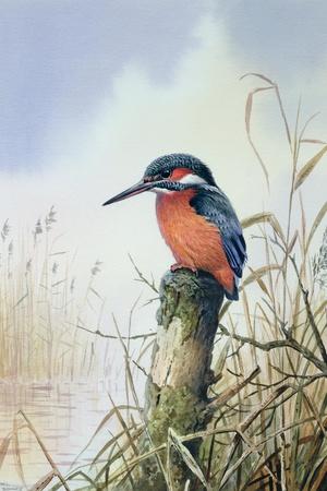 Giclee Print, , small